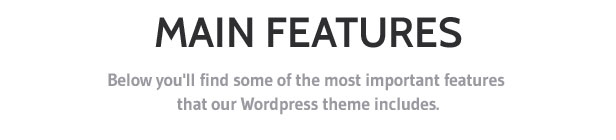 main wp theme features